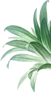 Garbhasanskar, prenatal care, meditation