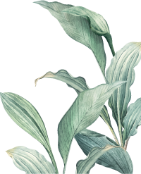 Garbhasanskar, prenatal care, meditation