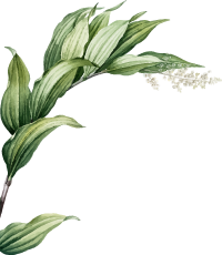 Garbhasanskar, prenatal care, meditation