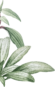 Garbhasanskar, prenatal care, meditation