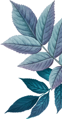 Garbhasanskar, prenatal care, meditation